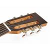 Parlor kytara Richwood Master P-40 - 4