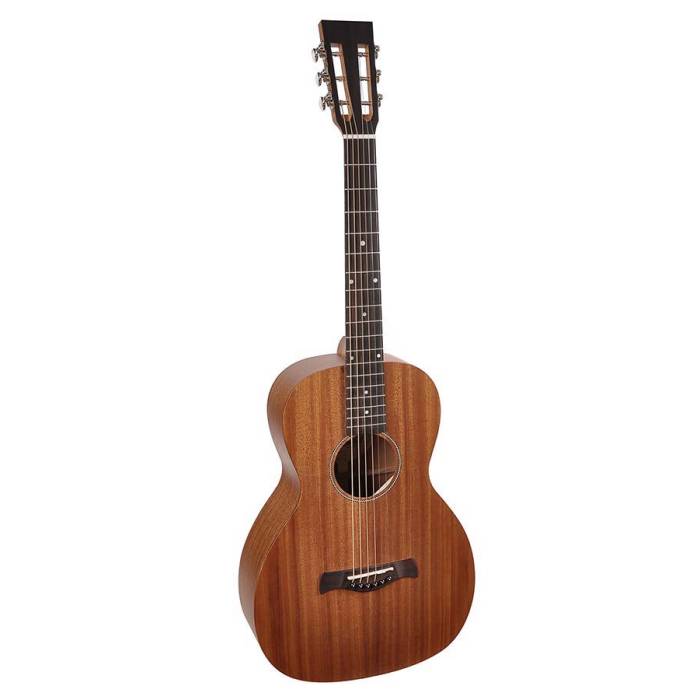 Parlor kytara Richwood Master P-50