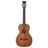 Parlor kytara Richwood Master P-50 - 3