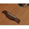 Parlor kytara Richwood Master P-50 - 6