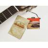 Parlor kytara Richwood Master P-50 - 8