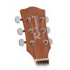 Akustická kytara dreadnought Richwood Artist RD-12 - 3