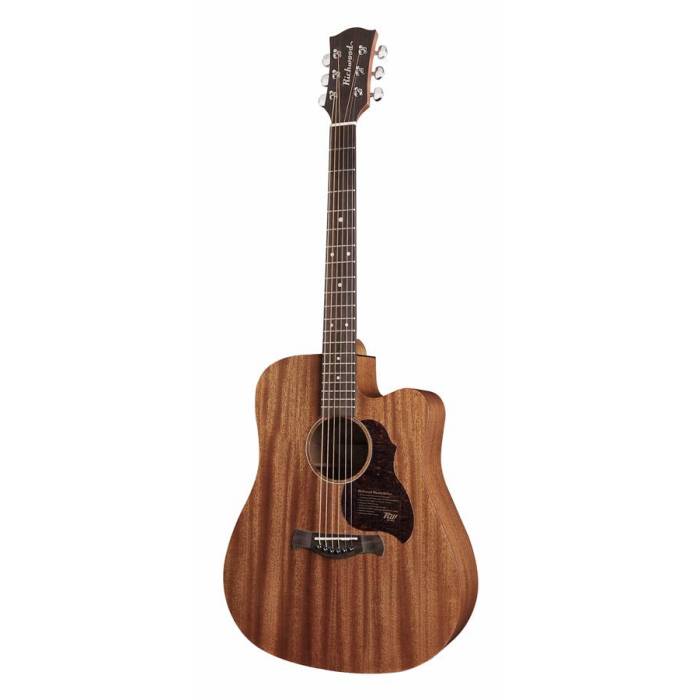 Elektroakustické kytary: Richwood Master D-50-CE Elektroakustická kytara dreadnought Elektroakustická kytara dreadnought Richwood Master D-50-CE