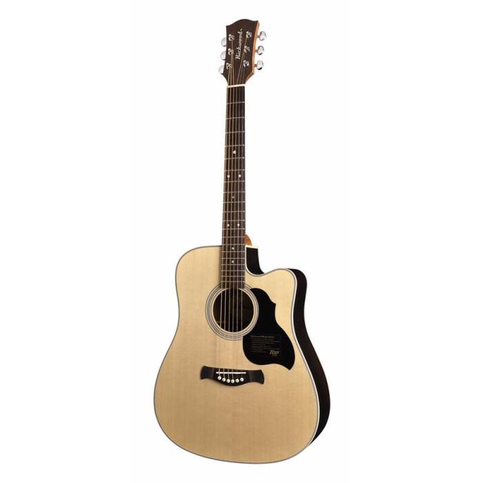 Elektroakustické kytary: Richwood Master D-60-CE Elektroakustická kytara dreadnought Elektroakustická kytara dreadnought Richwood Master D-60-CE