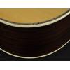 Elektroakustická kytara dreadnought Richwood Master D-70-CEVA - 8