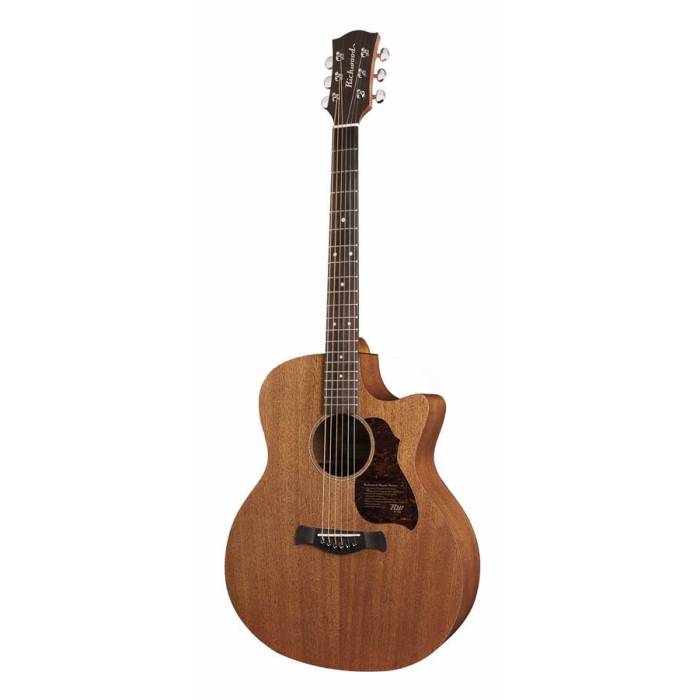 Elektroakustické kytary: Richwood Master G-50-CE Elektroakustická kytara dreadnought Elektroakustická kytara dreadnought Richwood Master G-50-CE