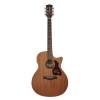Elektroakustická kytara dreadnought Richwood Master G-50-CE - 3