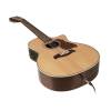 12-strunná kytara grand auditorium Richwood Master G-6512-CEVA - 2