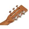 Parlor kytara Richwood Master P-50-E - 5