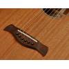 Parlor kytara Richwood Master P-50-E - 6