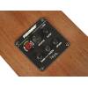 Parlor kytara Richwood Master P-50-E - 9