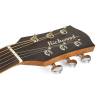 Elektroakustická kytara Songwriter M Richwood Master SWG-110-CE - 4