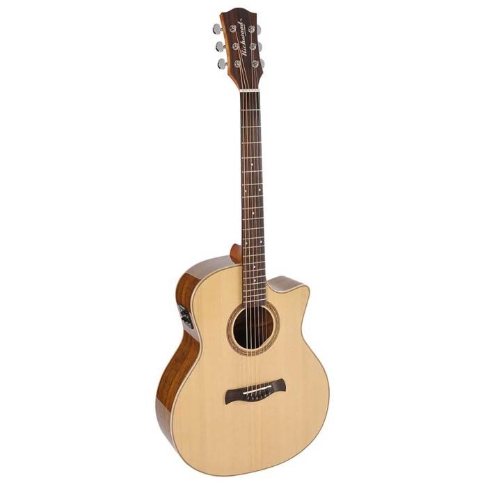 Elektroakustické kytary: Richwood Master SWG-130-CE Elektroakustická kytara Songwriter O Elektroakustická kytara Songwriter O Richwood Master SWG-130-CE