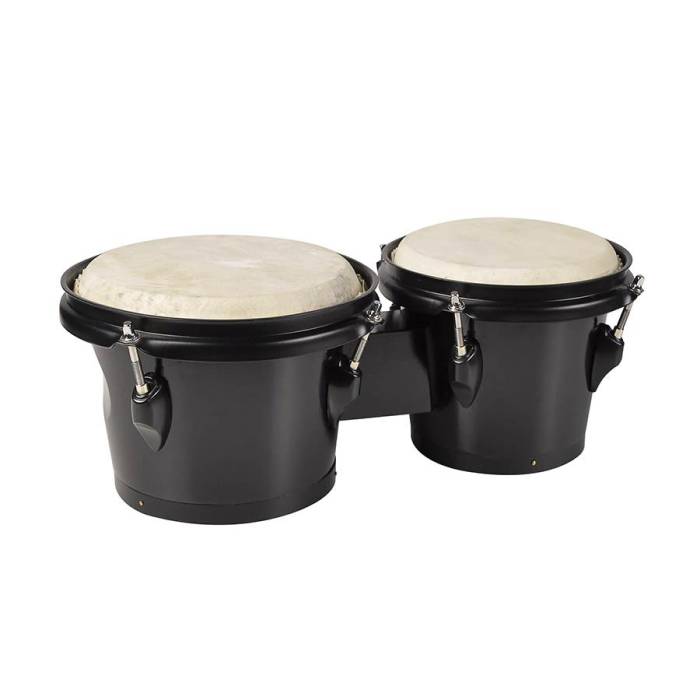 Bongo 6,5