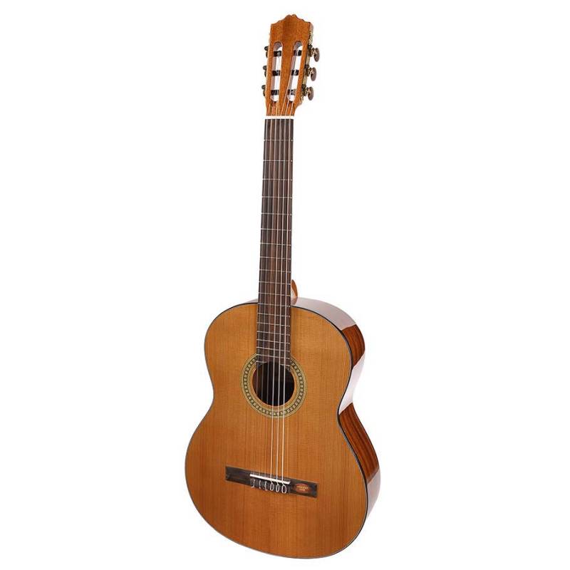 Klasická kytara pro leváky Salvador Cortez Student CC-10L - 1