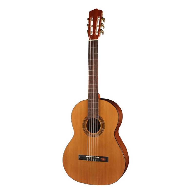 Klasická kytara Salvador Cortez Student CC-10-SN - 1