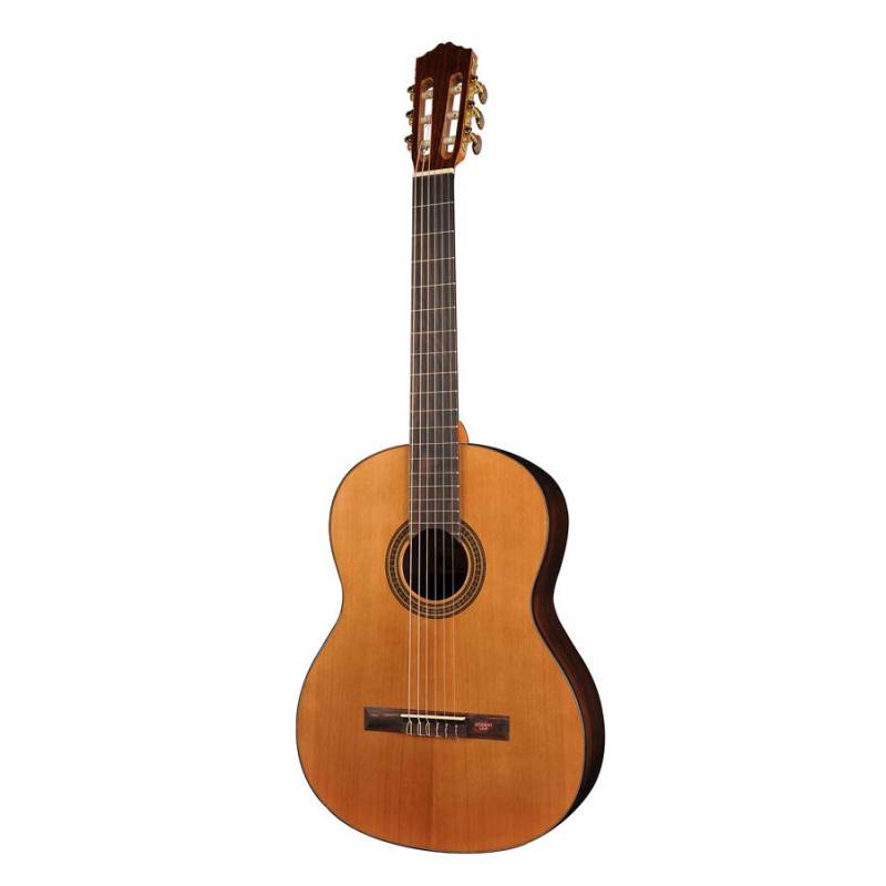 Klasická kytara Salvador Cortez Student CC-15 - 1