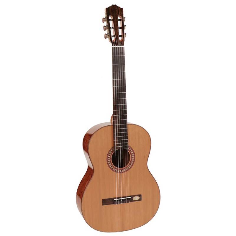 Klasická kytara Salvador Cortez Solid Top Artist CC-25 - 1