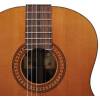 Klasická kytara Salvador Cortez Solid Top Artist CC-32 - 3