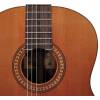 Klasická kytara Salvador Cortez Solid Top Concert CC-60 - 3