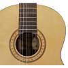 Klasická kytara Salvador Cortez Solid Top Artist CS-32 - 3