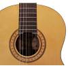 Klasická kytara Salvador Cortez Solid Top Artist CS-50 - 3