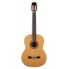 Klasická kytara Salvador Cortez Solid Top Artist CS-50 - 4