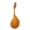 Mandolína A-styl Richwood All Solid Master RMA-110-VS - 2