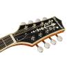Mandolína A-styl Richwood All Solid Master RMA-110-VS - 3