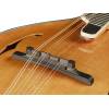 Mandolína A-styl Richwood All Solid Master RMA-110-VS - 5
