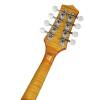 Mandolína A-styl Richwood All Solid Master RMA-110-VS - 6