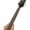 Mandolína A-styl Richwood All Solid Master RMA-110-VS - 7