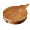 Mandolína A-styl Richwood All Solid Master RMA-110-VS - 8