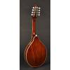 Mandolína A-styl Richwood Master RMA-60-VS - 2