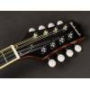 Mandolína A-styl Richwood Master RMA-60-VS - 3