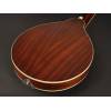 Mandolína A-styl Richwood Master RMA-60-VS - 8