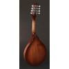 Mandolína A-styl Richwood All Solid Master RMA-90-NT - 2