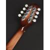 Mandolína A-styl Richwood All Solid Master RMA-90-NT - 6