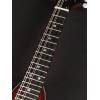 Mandolína A-styl Richwood All Solid Master RMA-90-NT - 7