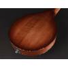 Mandolína A-styl Richwood All Solid Master RMA-90-NT - 8