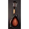 Mandolína F-styl Richwood All Solid Master RMF-100-VS - 2