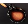 Mandolína F-styl Richwood All Solid Master RMF-100-VS - 11