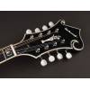Mandolína F-styl Richwood All Solid Master RMF-100-VS - 3