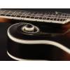 Mandolína F-styl Richwood All Solid Master RMF-100-VS - 5
