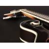 Mandolína F-styl Richwood All Solid Master RMF-100-VS - 6