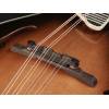 Mandolína F-styl Richwood All Solid Master RMF-100-VS - 7