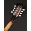 Mandolína F-styl Richwood All Solid Master RMF-100-VS - 8