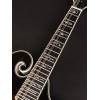Mandolína F-styl Richwood All Solid Master RMF-100-VS - 9
