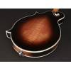 Mandolína F-styl Richwood All Solid Master RMF-100-VS - 10