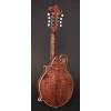 Mandolína F-styl Richwood All Solid Master RMF-220-WN - 2